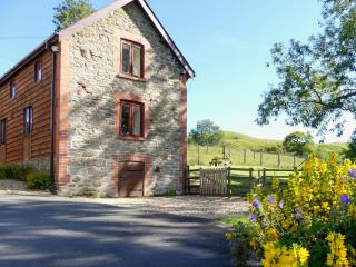 Pippins - Penybont - 3
