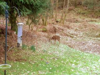 The Secret Garden - Windermere - 1