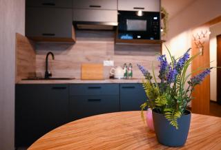 Zielone Apartamenty z aneksem kuchennym - 2