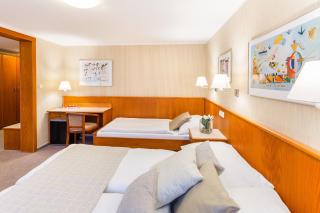 Hotel Sněžka - Špindlerův Mlýn - 3