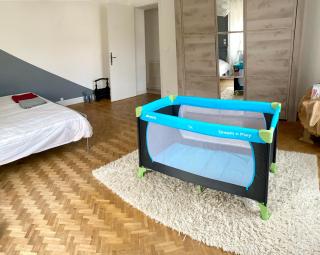 Appartement rénové 80 m2 - Foix - 1