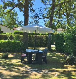 Vakantie Woning Le Chat Maison 175 - Écuras - 8