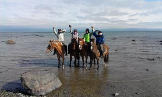 Tihuse Horsefarm B&B - 6