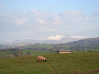 Upper Ffinnant - Aber-Brân - 9