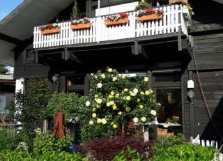 Haus Hachtmann - Cuxhaven - 0