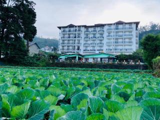 City Apartment’s Nuwara Eliya - Nuwara Eliya - 5
