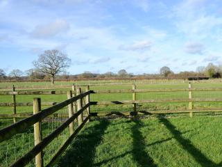 Barleycorn - Holwell - 9