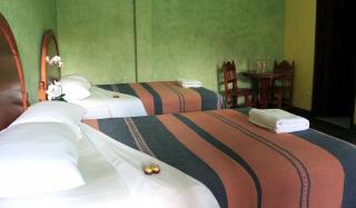 Hotel Oaxtepec - Oaxtepec - 7