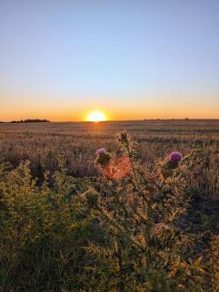 Pampa Cottage - - 8