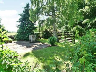 Foresters Cottage - Kildary - 6