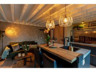 Apartment in Zoutelande near the Beach - 1