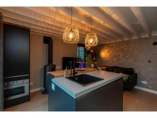 Apartment in Zoutelande near the Beach - 1