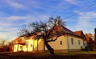 Amande House & Cottage - 9