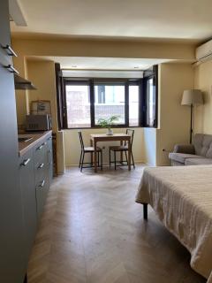 Estudio Castellana Norte con parking - Madrid - 0
