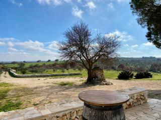 Agriturismo Tenuta del Grillaio - Acquaviva delle Fonti - 3