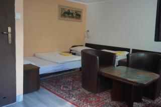 Villa Pod Orzechem w Zaniemyślu - Zaniemyśl - 5