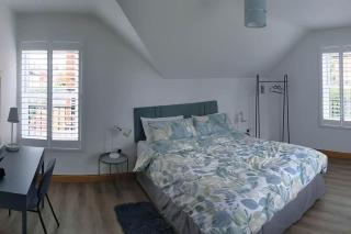 Cosy 2 Bedroom Coach House - Belfast - 5