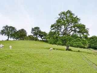 Honeysuckle Cottage - 29938 - 1