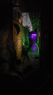 Clorofila House Glamping Naturista - Ubatuba - 8