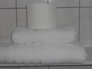 Pension am Lieserpfad - Manderscheid - 8
