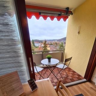 1,5 Zimmer Apartments mit traumhafter Aussicht - Bad Kissingen - 3