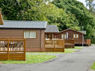 Forest Glade Lodge - Lanlivery - 2