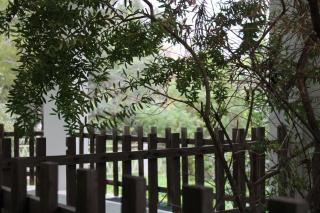 Villa Luigina e Orazio,Cardedu, 7 posti letto - Cardedu - 5