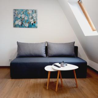 Apartman Danica - Divčibare - 7