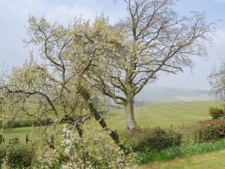 Mavis Cottage - Kington - 1