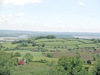 Vale View Cottage - Cinderford - 5