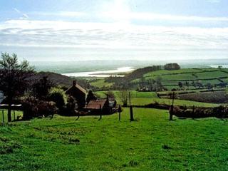 Vale View Cottage - Cinderford - 4