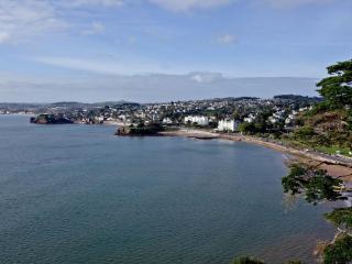 Harbreck Heights -Masts B9 - Torquay - 9