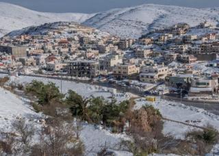רוזמרין בחרמון - 4