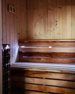 Apartamenty Wilga z całorocznym jacuzzi i letnim basenem - Wilga - 3