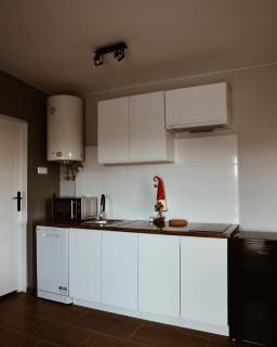 Apartamenty Wilga z całorocznym jacuzzi i letnim basenem - Wilga - 4