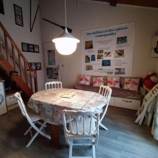 Appartement cosy à quelques pas de la plage de la Rémigeasse - Dolus-d'Oléron - 9