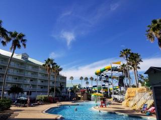 Harbourside 7718- Premier - Clearwater Beach - 9
