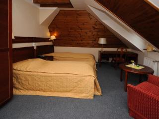 Hotel Bohemia Excellent - 9