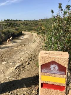 Varandas do Vale Furnazinhas - 7