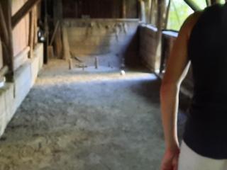 Landhaus Just - Maria Elend - 3