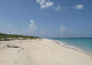 Buttonwood Reserve by Eleuthera Vacation Rentals - 5