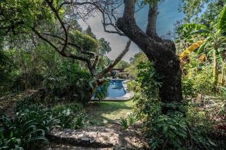 Canto de Aves - Malinalco - 0
