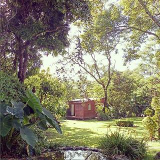 Canto de Aves - Malinalco - 2