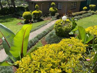 Zoe Homes 1br and 2br Cottage own compound -Kericho town near Green Square mall - Kericho - 8