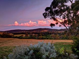 Emmasprings Retreat - Beechworth - 3