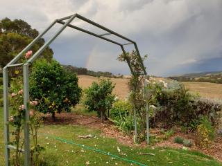 Emmasprings Retreat - Beechworth - 6