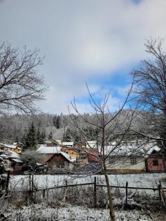 Apartamentul Florilor de Fân - Azuga - 1