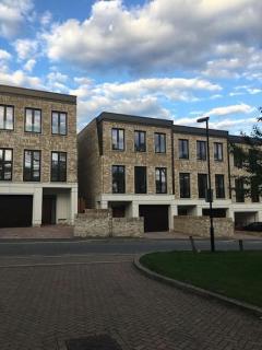 Amazing new built townhouse with garden in London - 9