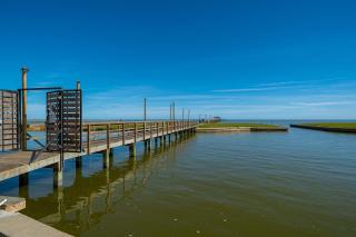The Birds and The Beach - Rockport - 7