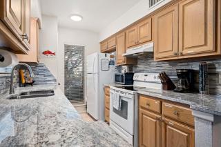 The Birds and The Beach - 1